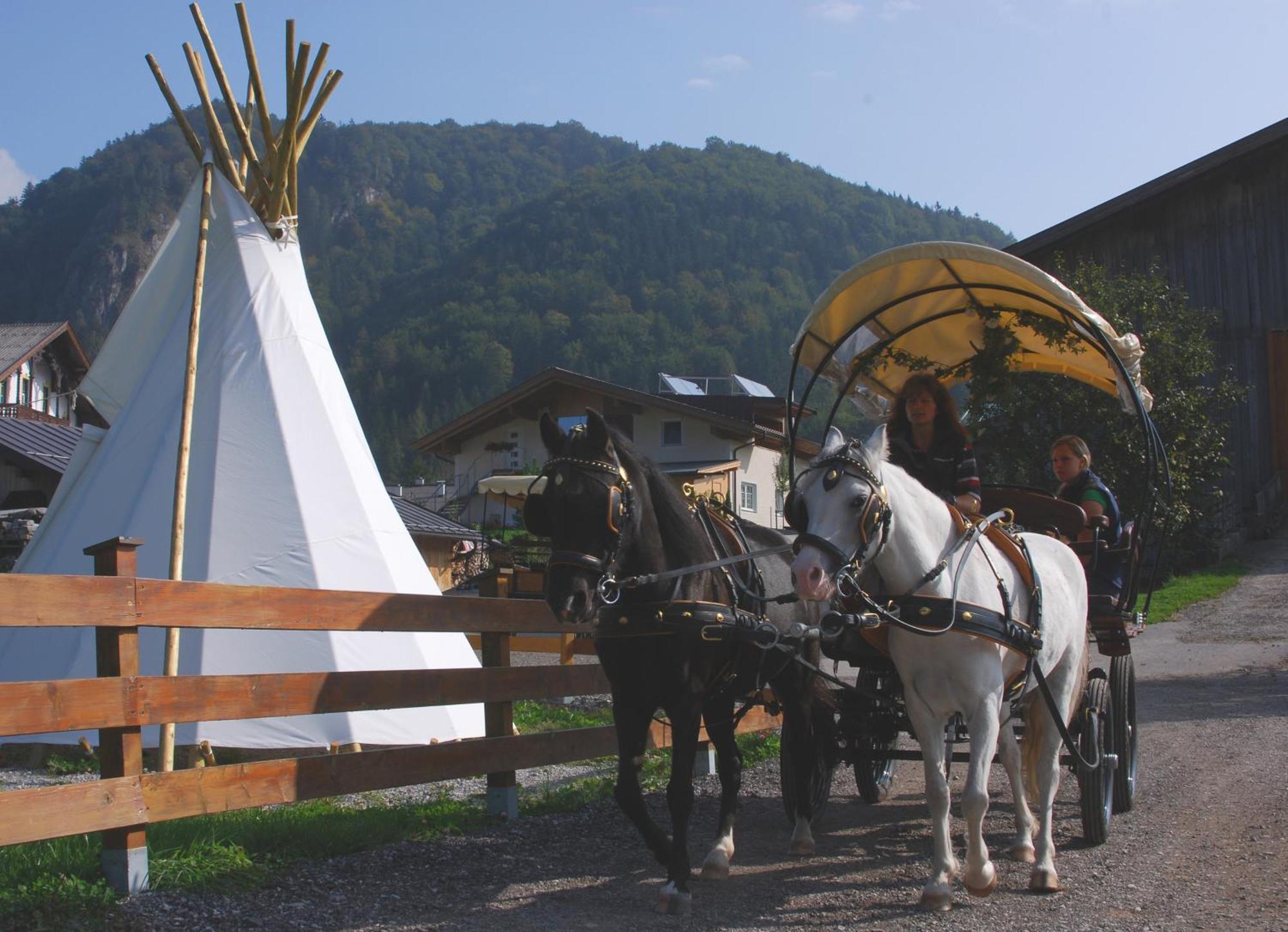 Reitanlage Dagnhof Apartment Walchsee Bagian luar foto