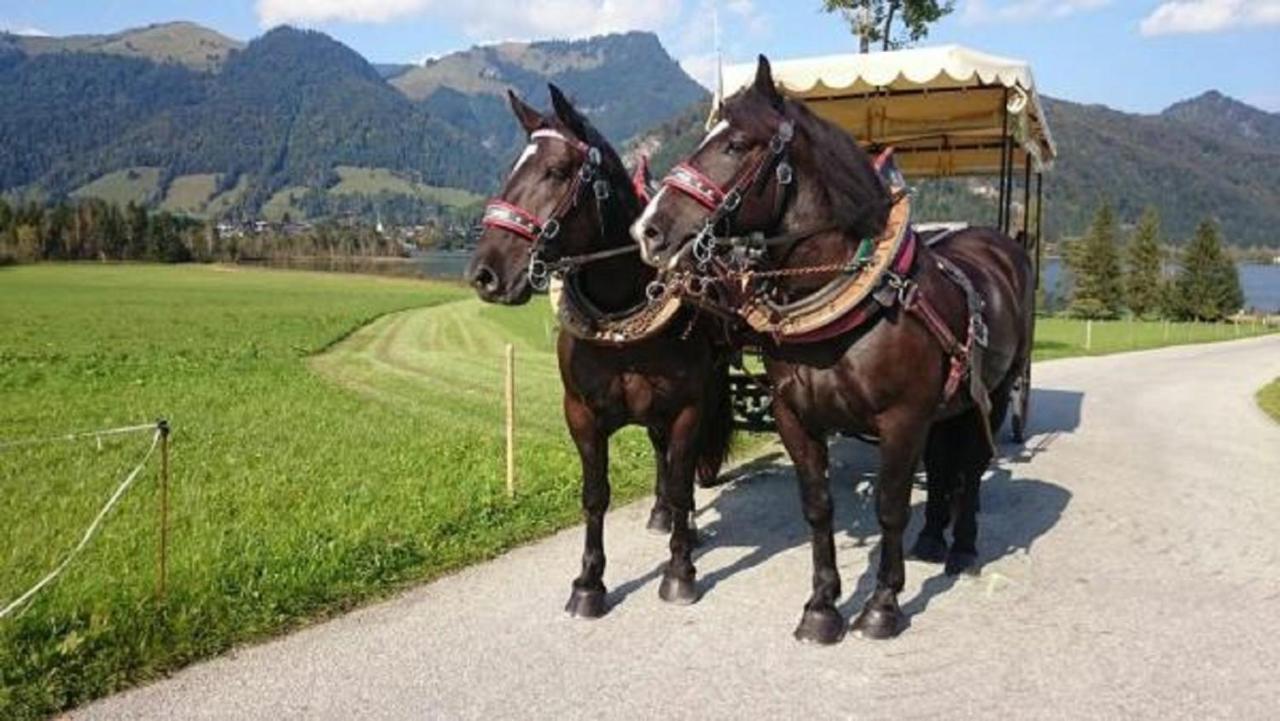 Reitanlage Dagnhof Apartment Walchsee Bagian luar foto